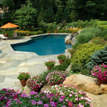 Our Work
