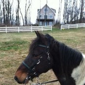 Christy Moore Griffin's photo