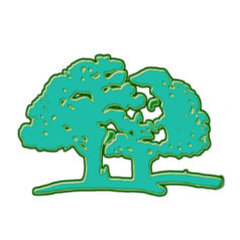 All Pro Tree Care