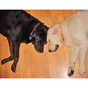 Michele Demperio's photo