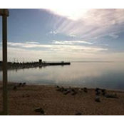 Kathy Rosebrook's photo