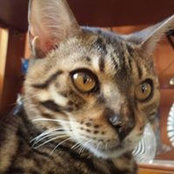 Eugene Musfelt's photo