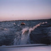 Pamela Gussman's photo