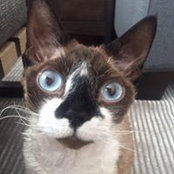 Wendy Keeble's photo