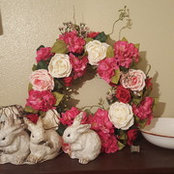 Lesli Neubauer (South central TX zone 8b/9)'s photo