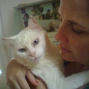 Izabella Cavalcanti's photo