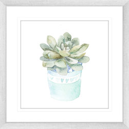 On the Windowsill Collection - Framed Art Prints (SILL01) - Artwork