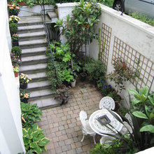 Shade planting
