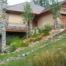 Back Yard Landscape