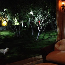 Our moonlight  garden cottage