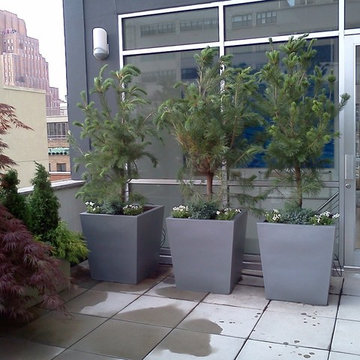 Best Patio Designer - NYPlantings