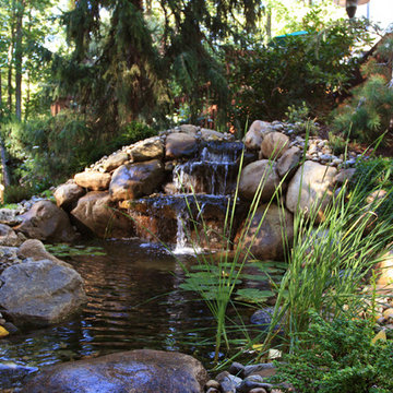 Soothing Streamside Retreat