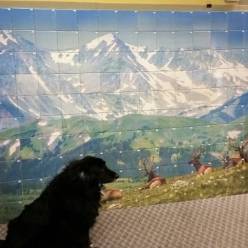 Porcelain Tiled Wall Murals - full images for walls or kitchen backsplash