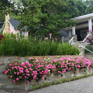 Colorful garden