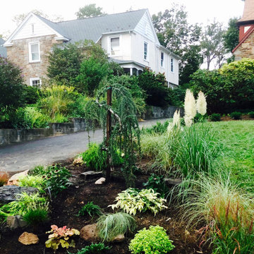 Elkins Park Curb Appeal