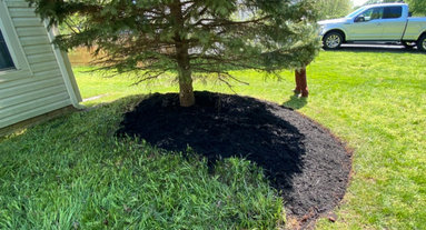 1 Superior Tree Removal Services Company Near Manassas VA
