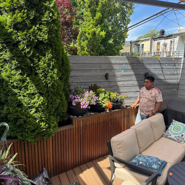 Windsor Terrace, Brooklyn Shade