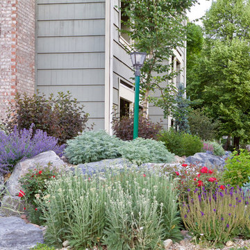 Plant Combinations