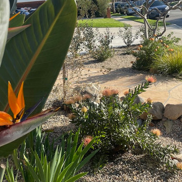 Yellow Stone Path 1 year later