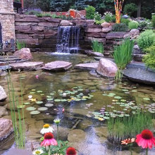 Ponds