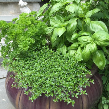 Planters