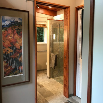Ann Arbor Master Bath Addition: Water Hill