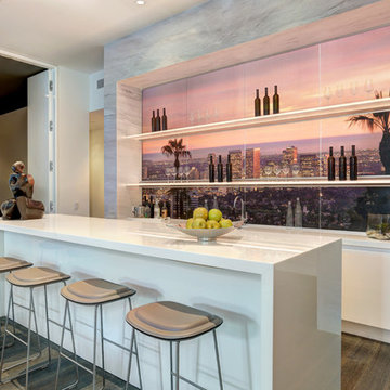 Contemporary Home Bar