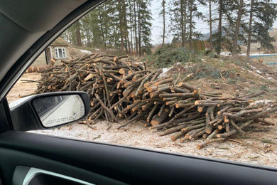 Project Management / Demolition / Tree Removal