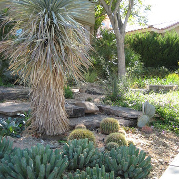 C Vegas Residence