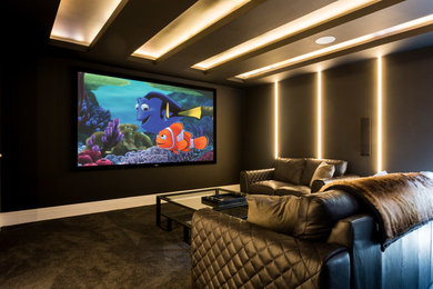 Transitional home theatre in Hertfordshire.