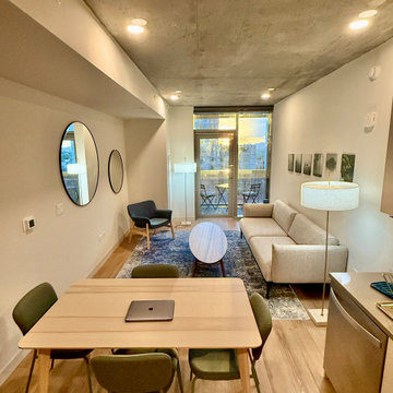 A Design Blitz Miracle — Sol Modern, Phoenix, Arizona.