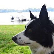Brigitte Frost's photo