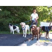 Janie Knetzer's photo