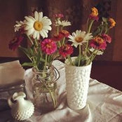 Christi Havens's photo