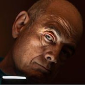 Dan Goorevitch's photo