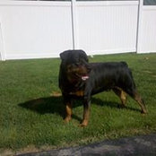 Jeffrey Havel's photo