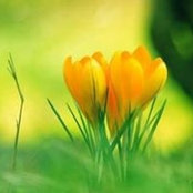Laila Kamel's photo