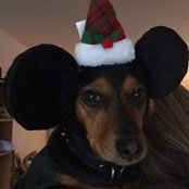 Sharon Georgopoulos's photo