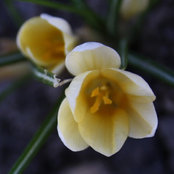 Foto von alis0501