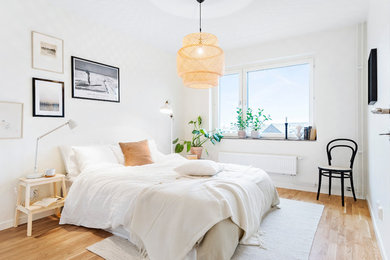 Skandinavisk inredning av ett sovrum