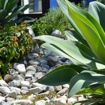An Urban Oasis