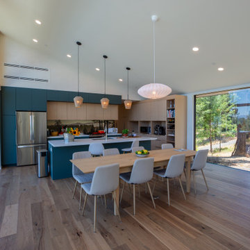 Eclipse Cabinets HPL Olive Detour and Reconstituted White Oak