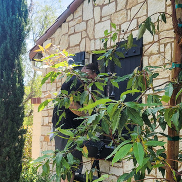 Board-N-Batten Exterior Shutters in Tustin, California