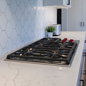 Modern Home Renovation