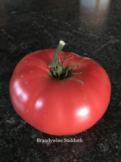Brandywine, Sudduth Strain - Tomato - Victory Seeds® – Victory