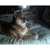 Judy Hemmingway's photo