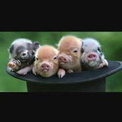Betty Marques's photo