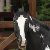 Debi Pierce's photo