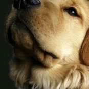 Michele McCarthy's photo