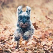 Kerry Haylock's photo
